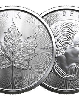 2022 1 oz Canadian Silver Maple Leaf Monster Box (500 Coins, BU)