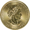 Canadian Gold Megaleaf Coin