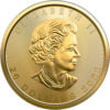 2020 1/4 oz Canadian Gold Maple Leaf Coin
